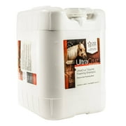 UltraCruz® Equine Foaming Shampoo, 5 gallon