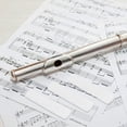 thumbnail image 4 of BRIGHTFUFU 3Pcs Professional Hand Made Resin Clarinet Reeds Easy Install Clarinet Accessories, 4 of 8