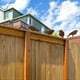 thumbnail image 5 of Decorative Rust, 4 Patina Metal Bird Stakes, Garden Decoration, Rust Look with Screw Thread, Metal Bird Tree Stake for Wood, Fence Figures, Garden Dec, 5 of 5