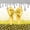 Bowknot 02, variant on Homewish Yellow Bow Twin Sheets for Girls, Cute Leopard Print Bedding, 3-Piece (1 Flat Sheet, 1 Fitted Sheet and 1 Pillowcase)