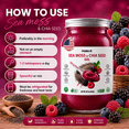 thumbnail image 3 of Halevit Wildcrafted Irish Sea Moss Gel, Raw Sea Moss Supplement with Chia Seeds, 16 Oz, Berry Flavor, 3 of 7