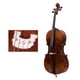 thumbnail image 3 of Accesorio de repuesto para instrumento musical con puente de violonchelo de arce duradero de 3/4, 3 of 9