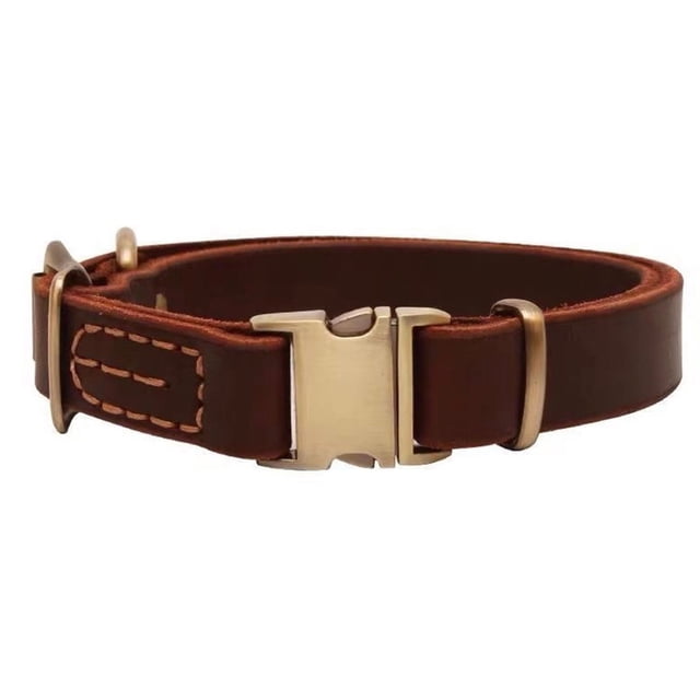 Collar de perro de cuero tapizado de lujo, hebilla de cinturón, adecuado para mascotas medianas y grandes