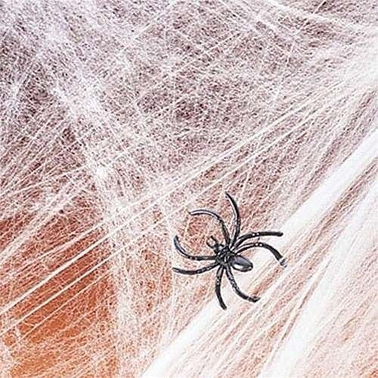 halloween bag of spiders