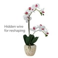 thumbnail image 7 of Home Accents 22-inch Artificial Real Touch Phalaenopsis Orchid in Cement Pot, White/Pink, 7 of 7