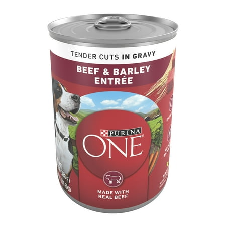Purina ONE Tender Cuts in Gravy Natural Wet Dog Food Gravy  Beef and Barley Entree  13 oz. Can