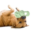 thumbnail image 1 of Slipper Type Pet Toy Dog Chewing Chewing Molar Toy Teeth Cleaning Color Funny Dog Toy Dog Boxes with And, 1 of 7