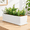 14.5 inch, variant on 14 Inch Ceramic Indoor Plant Pot With Drainhole Rectangular Succulent Planter Window Box Removable Saucer Unglazed White (pack Of