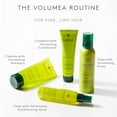 thumbnail image 5 of Rene Furterer Volumea Volumizing Conditioner - For Fine, Limp Hair - Thickening & Volumizing, 5 fl oz, 5 of 6