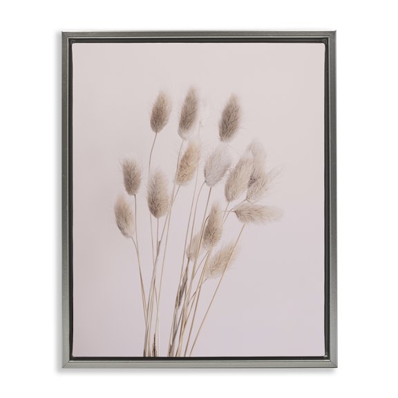 Stupell Industries Bohemian Soft Pink Reed Sprigs Gray Floating Frame Canvas Art, 25 x 31, by Sisi and Seb