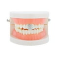thumbnail image 2 of Unique Bargains 1 Pc Fake Grills Hip Hop Rhinestones Design Teeth Grillz Silver Tone, 2 of 6