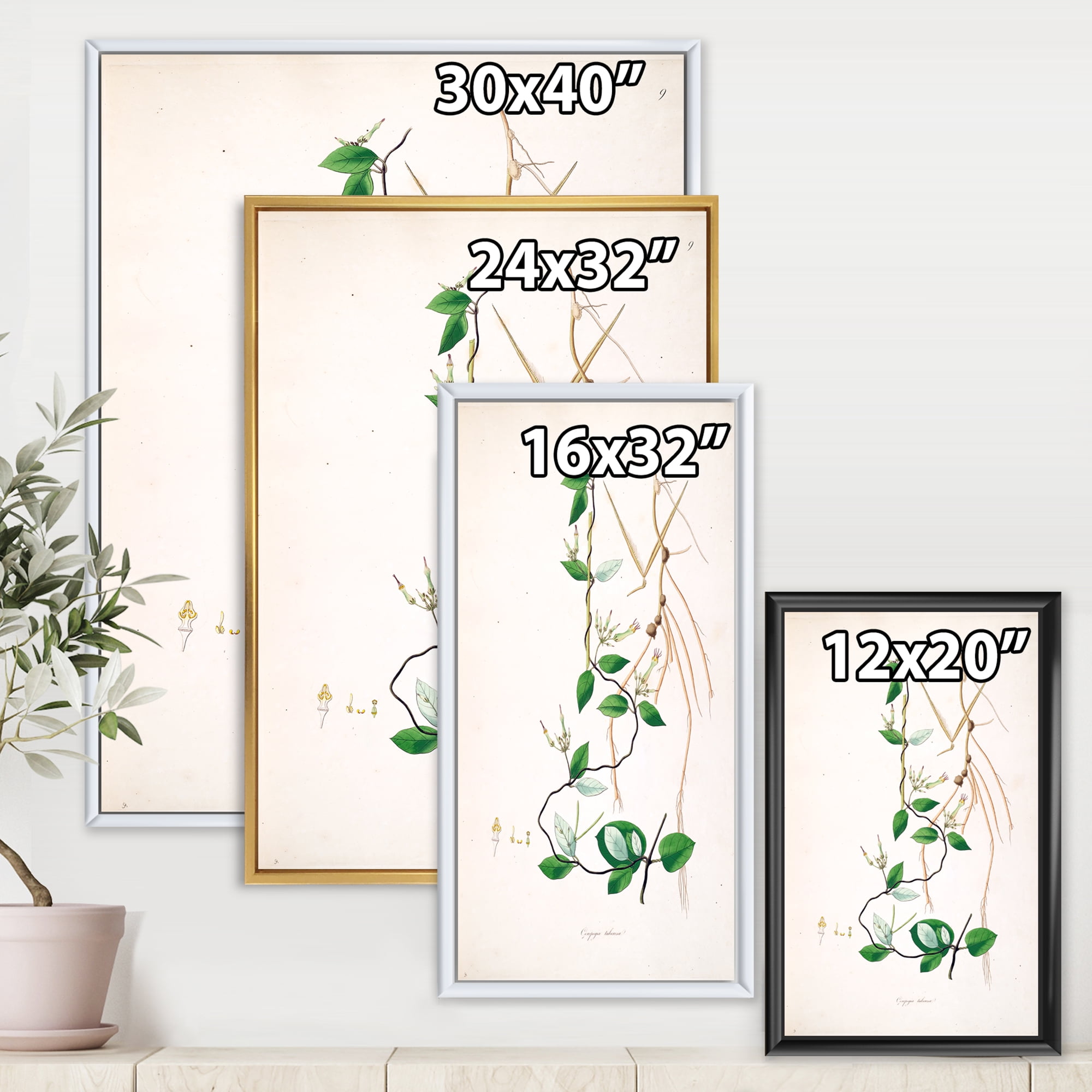 Designart 'Ancient London Plants IV' Farmhouse Framed Canvas Wall Art Print
