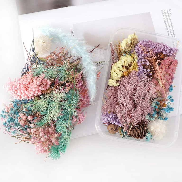Natural Dried Flower Set Used to Make Candles Resin Ornaments