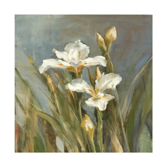 Trademark Fine Art 'Spring Iris II' Canvas Art by Danhui Nai