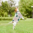 thumbnail image 3 of KAKOWELY Ropa de protección solar para perros, adorable sudadera con capucha para fotos al aire libre, 3 of 5