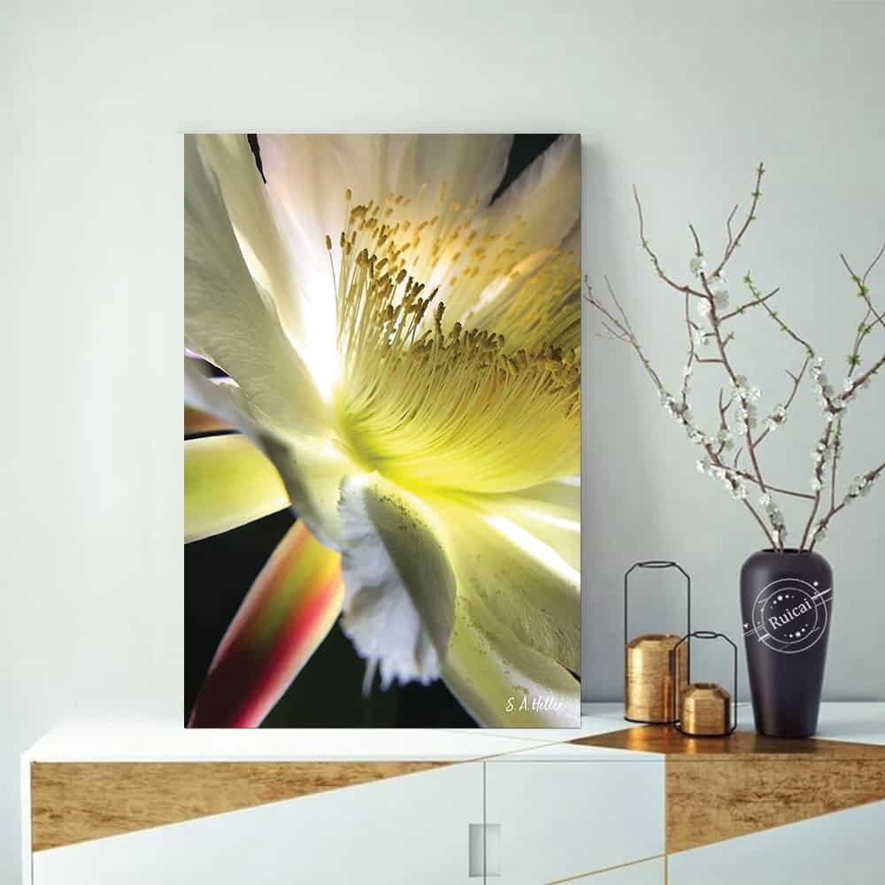 Bloom Parade By Photographer Steven A. Heller - 20"X30" Canvas