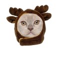 thumbnail image 1 of Costume pour Chats Couverture de Tête de Chat avec Oreilles Bee Penguin Duck Rabbit Tenues pour Animaux, 1 of 3