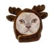 thumbnail image 1 of Mascota Halloween Banana Hat Gato Perro Halloween Acción de Gracias Sombrero Mascota Banana Cap Ropa de Halloween para gatos Gatito Cachorro Perros pequeños Sailing Electrónica, 1 of 3