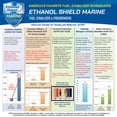 thumbnail image 4 of Estabilizador de combustible Ethanol Shield Marine, pack de 2 x 710 ml, 4 of 5