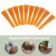 thumbnail image 2 of 10 piezas de accesorio de taladro para desplumar pollos, varilla para quitar los dedos de las aves de corral, palo para quitar el pelo de las aves de corral, 2 of 7