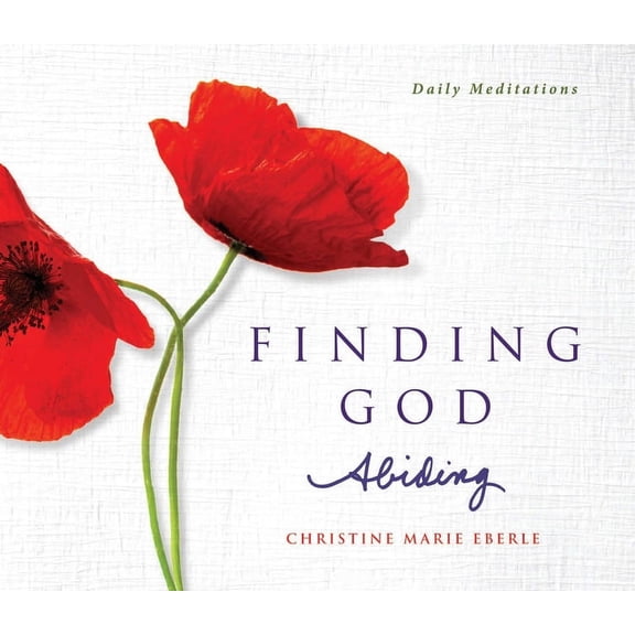 Finding God Abiding: Daily Meditations, (Paperback)
