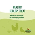thumbnail image 4 of Premio para aves de corral Manna Pro gusanos de la harina 2,3 kg proteína natural, 4 of 6