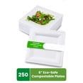 thumbnail image 5 of FPN Compostable Square Plates 250pcs 6 In Eco-Friendly Dinnerware, Disposable Party Plates for Hot & Cold Food, 5 of 10