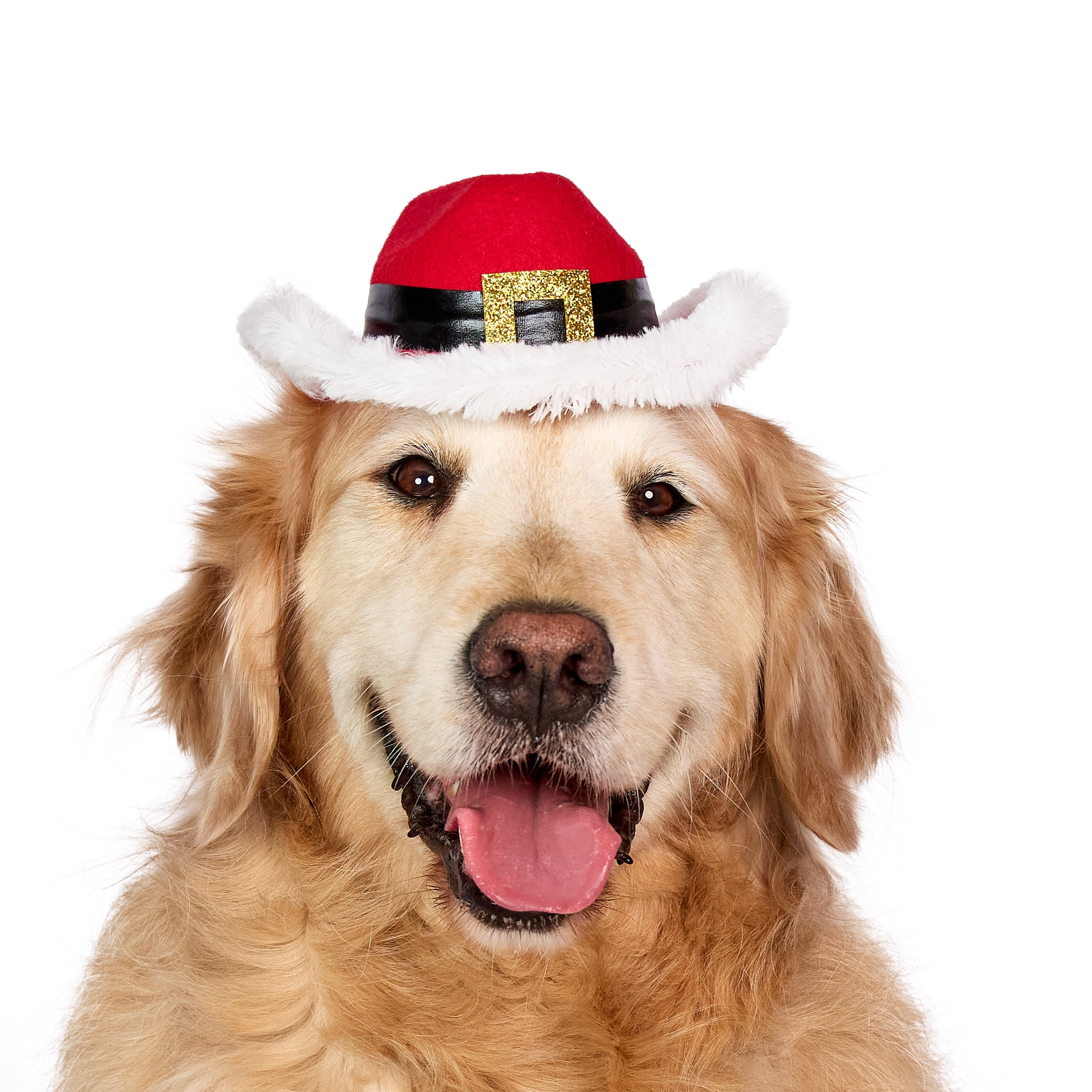 Vibrant Life Holiday Pet Santa Cowboy Hat for Dogs, Red, Medium/Large