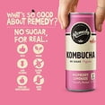 thumbnail image 3 of Remedy Raw Organic Kombucha Tea - Sparkling Live Cultured Drink - Sugar Free Raspberry Lemonade - 8.5 Fl Oz Can, 24-Pack, 3 of 8