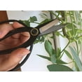 thumbnail image 3 of GARDEN GURU Professional Bonsai Scissors 180mm - Traditional Butterfly Bonsai Pruner Shear for Precise Trimming Pruning and Deadheading of Flowers Plants, Japanese Bonsai Garden Tools (2 Pack), 3 of 8