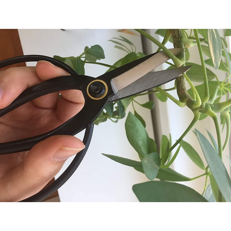 Japanese Pruning Shears For Bonsai Tree Trimming Professional Bonsai  Scissors - Thin Blades Pruning Shears For Trimming Plants, Japanese  Gardening Tools Gardening Scissors