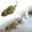 Green-6.29in, variant on Interactive Pet Toy Mouse, Wind Up Moving Automatic Plush Mouse Cat Toy with Furry Tail, Automatic Squeaky Dogs Toys for Pet Indoor Outdoor Exercise