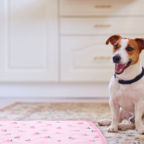 HEALEEP Colchoneta Para Mascotas Portátil Color Rosa Con Protección El Sobrecalentamiento