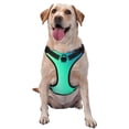 thumbnail image 1 of Fotbe blue green colors Arnés para Perro con Estampado –Chaleco Ajustable Acolchado con Asa de Control para Perros Grandes-Large, 1 of 6