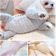 Recovery Suit for Dog After Surgery Cut Pet Recovery Shirt Dog