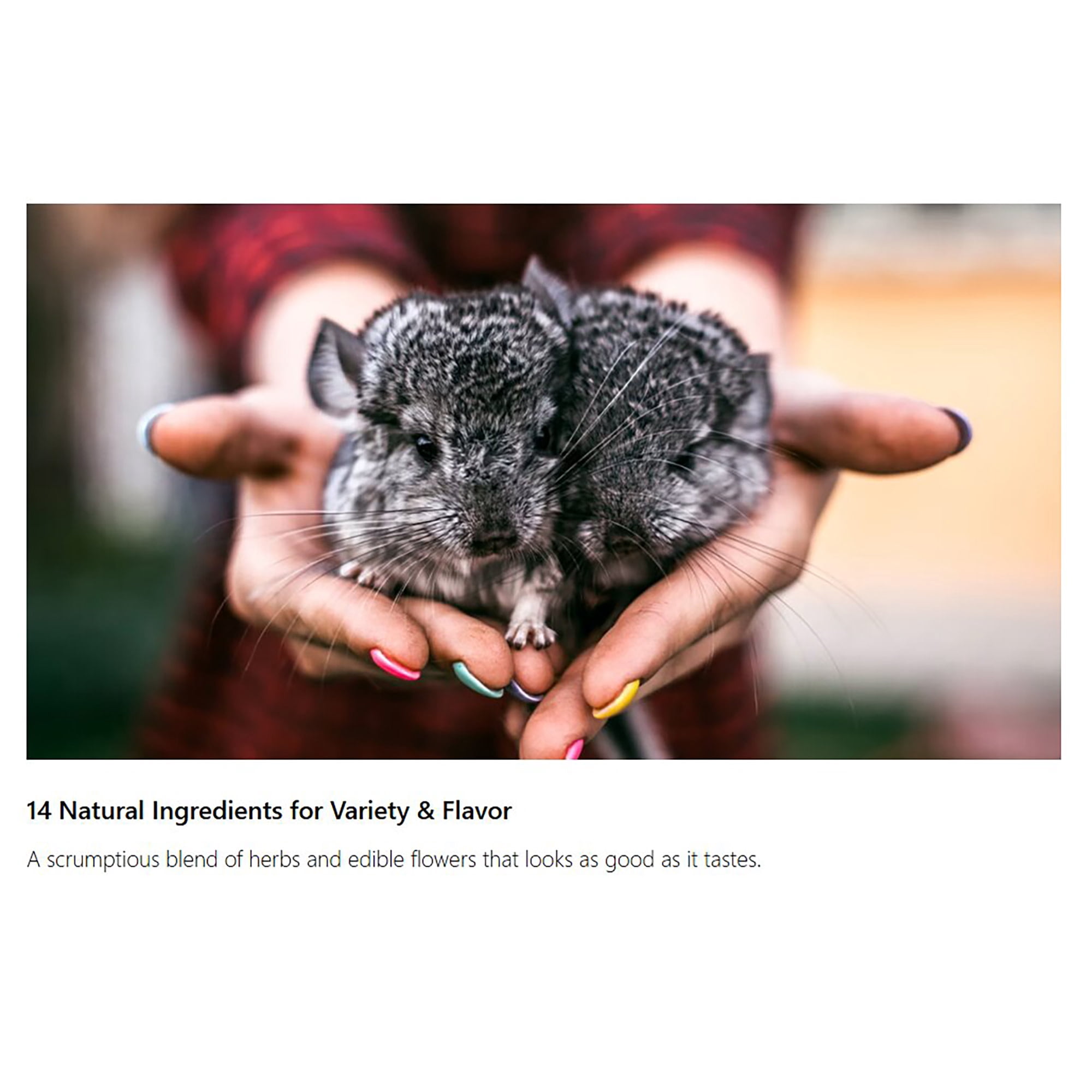 Rosewood Naturals: Chinchilla & Degu Delight - 4 Pack, 5.2oz Bags - Small Animal Treat, Blends 14 Natural Ingredients, Flower & Herb Mix, Pet-Rabbit