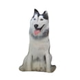 thumbnail image 1 of Cojín de perro 3D, juguete de animal, regalo de cumpleaños, decoración suave, lindo y realista, abrazo Gris, 1 of 7