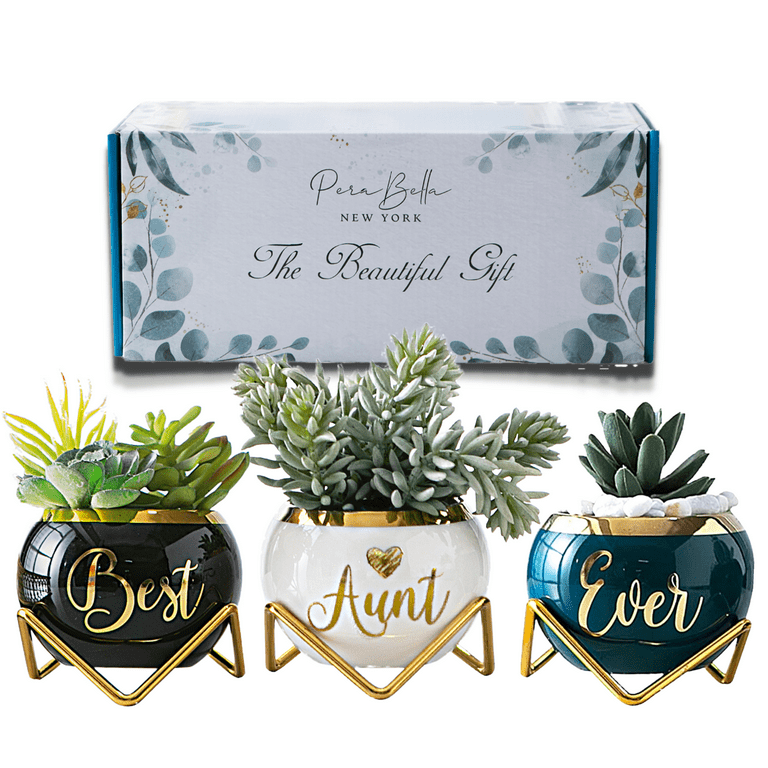 Aunt Gifts from Niece or Nephew, Unique Gifts for Auntie, Aunts Birthday  Gifts,3 Succulent Pots 