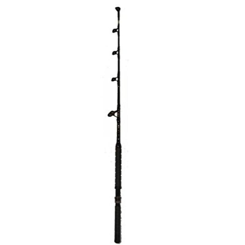 custom saltwater fishing rods