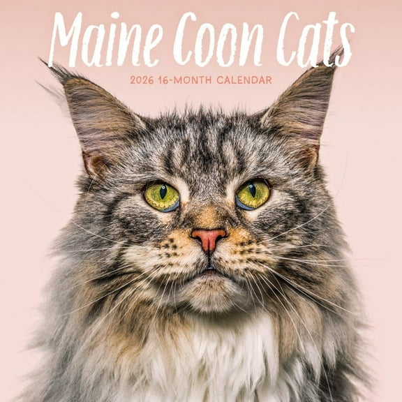 Carousel Calendars, Just Maine Coon Cats 2026 Wall Calendar