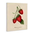 thumbnail image 2 of Stupell Industries Cottage Strawberry Fruit Portrait Canvas Art, 24 x 30, by Danielle Murray, 2 of 8