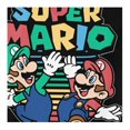thumbnail image 3 of Playera Nintendo Super Mario Talla 14 Manga Corta con Estampado Colorido Negro, 3 of 3