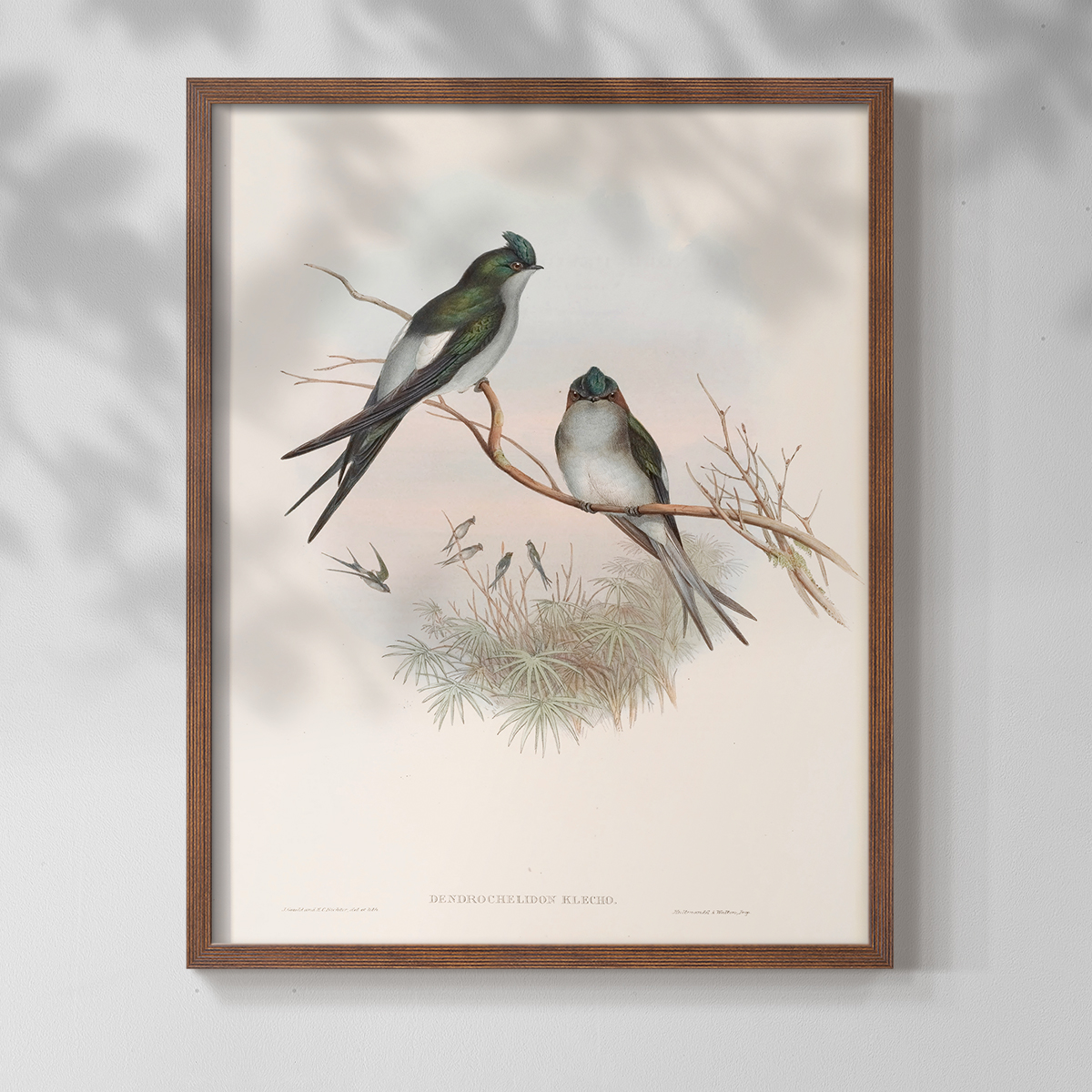 Vintage Animal Print X - 10in. x 8in. Vintage Framed Print in Walnut Wood Frame