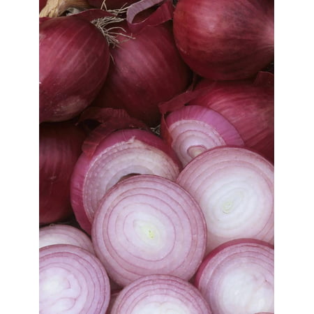 Ruby Ring' Red Storage Onions from a Home Garden Print Wall Art By Wally