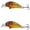 h, variant on Bisitoy 2Pcs Drop Shot Fishing Lures Set with Finesse Worm for Pressured Bass