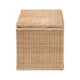 thumbnail image 5 of bali & pari Caden Braided Natural Rattan Chest with Lift-top Lid, 5 of 6