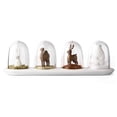 thumbnail image 1 of Advancent 4 piezas/Kit tarro de especias portátil de plástico precioso coctelera reutilizable interior hogar cocina botella de almacenamiento Cocina y Comedor, 1 of 6