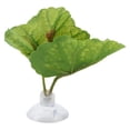 thumbnail image 3 of Cama Betta, Hamaca de Hoja Betta Hamaca de Hoja Betta Verde Almohadilla de Hoja de Pez Betta Diseño de Clase Mundial Jadeshay  A, 3 of 8