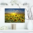 thumbnail image 1 of Design Art - Field of Blooming Sunflowers, 1 of 3