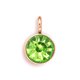 thumbnail image 1 of Piedra de nacimiento, diamantes de imitación, cristal, oro rosa, mes, joyería DIY, collar de Metal, cadena, pendientes, llaveros, colgantes, Ropa, zapatos y accesorios Miscelánea verde fluorescente Minnieouse AP010356-10B, 1 of 6